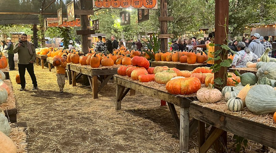 Live Oak Canyon Farm, United States